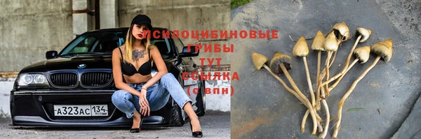 кокаин перу Богородицк