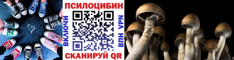 Псилоцибиновые грибы Psilocybine cubensis  Валуйки 