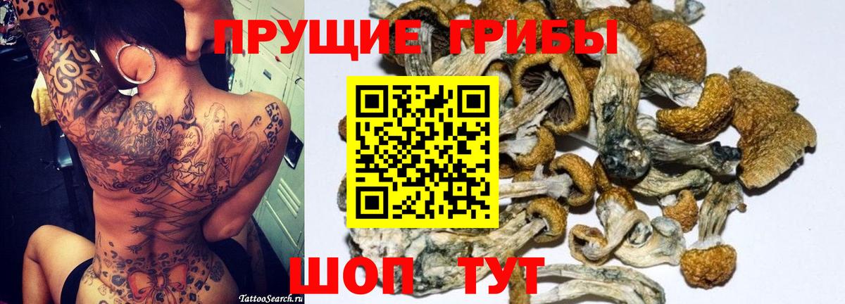 Галлюциногенные грибы Cubensis  Вход с VPN  где продают   Валуйки  Галлюциногенные грибы Cubensis 