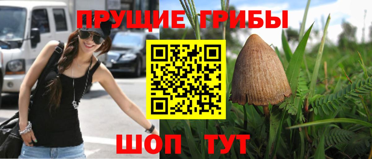 Галлюциногенные грибы MAGIC MUSHROOMS Валуйки